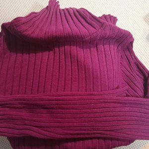 Turtleneck Sweater (Size Large)